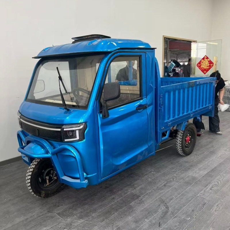Electric Scooter Adults - Electric Cargo Tricycle 800W Mini Cargo